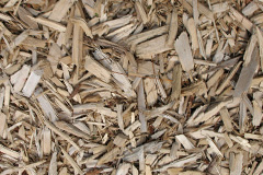 biomass boilers Shilbottle